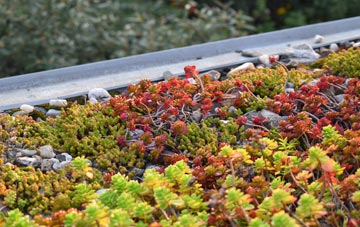 the cost of Bradfield Green green roof installation